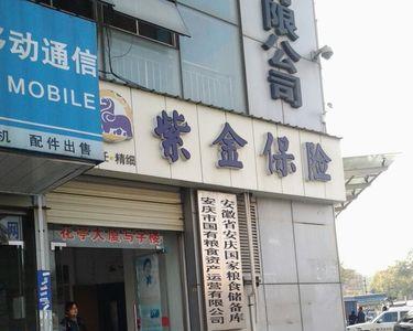 紫金保险营业时间
