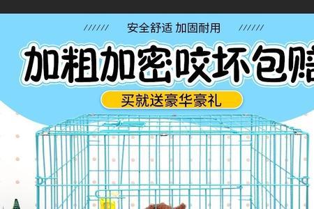 泰迪晚上在笼子里叫怎么办