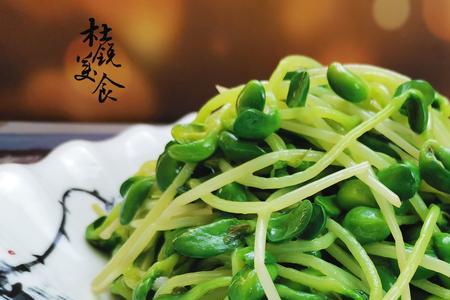 水发豆芽生长的全过程