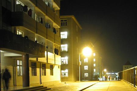 秋天夜晚路灯下夜景文案