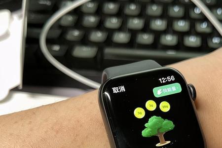 为什么apple watch一直显示请连接