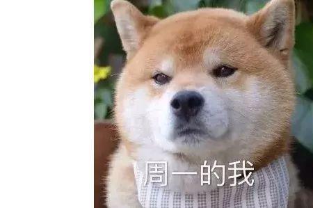 为什么周一离周五那么远