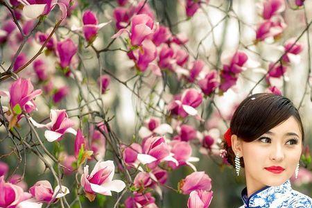女人如花如诗亦如书