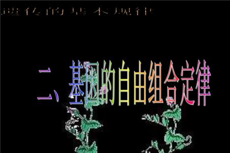 自由组合定律发生时间