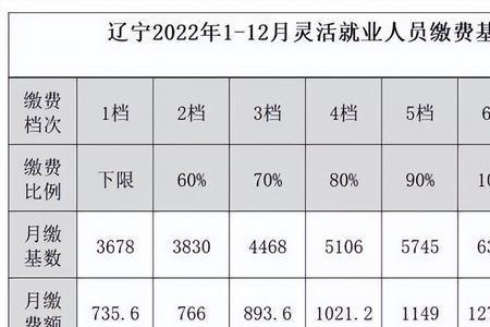 大连2023年灵活就业社保缴费表