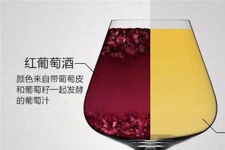 白葡萄酒酸正常吗