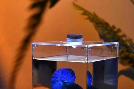 meyataquarium鱼缸是什么牌子
