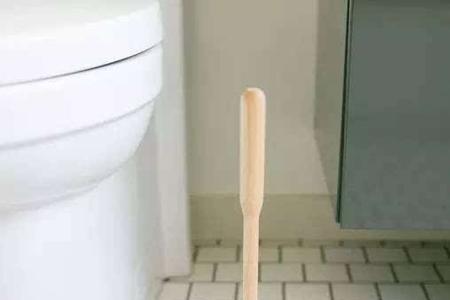 为啥用完马桶刷子不能洗手