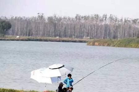 北方白露后野钓鱼最佳时间