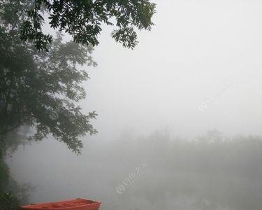 11月早上大雾好钓鱼吗