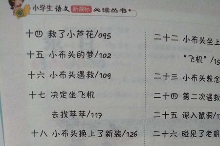 小布头的奇幻漂流好词好句