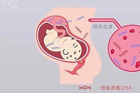 异地结婚孩子的基因优缺点