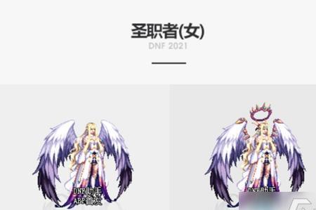 dnf哪个稀有装扮头发好看