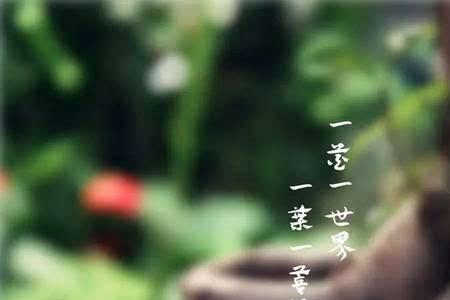淡然一切是什么意思
