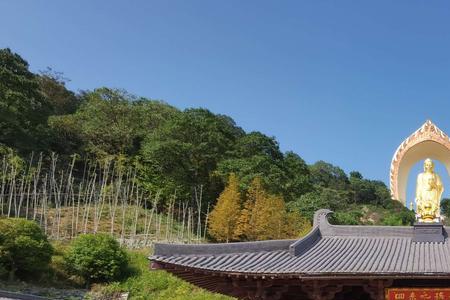 东林寺离庐山哪个门近