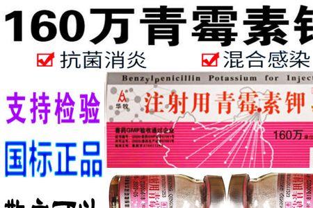 狗一公斤打多少青霉素