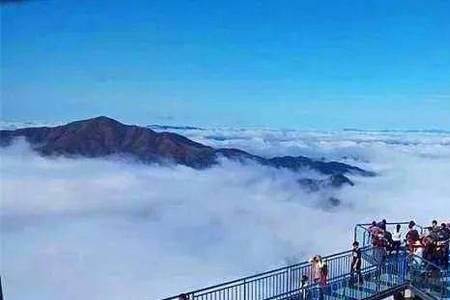 金子山多高