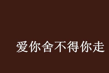 舍不得你走谁写的
