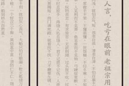 真愚老人新书