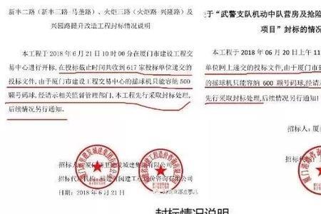 开标中专家提封标是什么意思