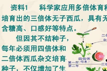 三倍体为什么大