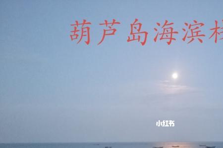 葫芦岛龙湾海滨要门票吗