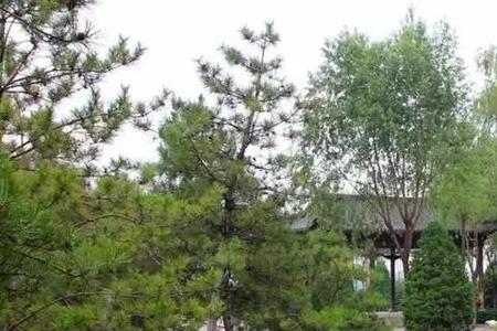 太原玉门河的发源地