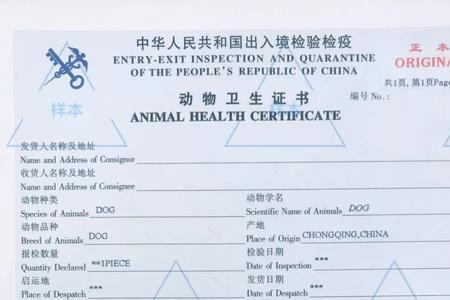 猫咪免疫证和检疫证有什么区别