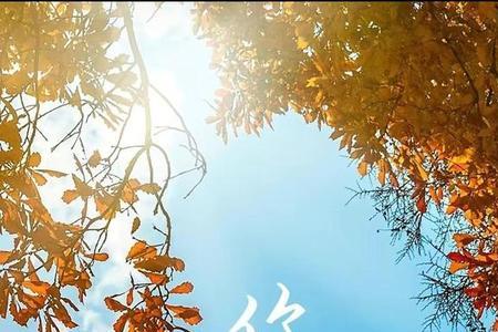 八月再见挥挥手下句