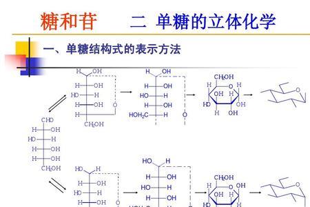 单糖和糖化合物缩合的产物