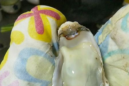 死的生蚝加热能开口吗