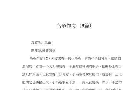 乌龟和大象的故事感想