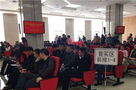 华润新隆沙售价