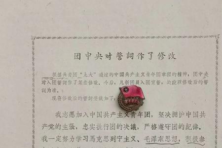 90年代入团誓词