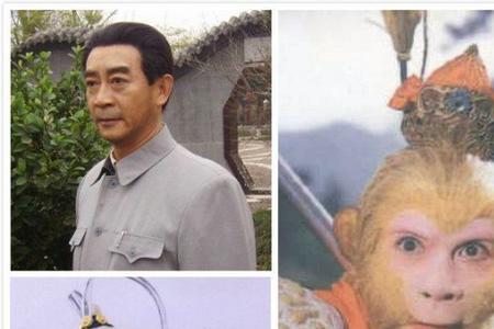 六小龄童为什么不演宝莲灯