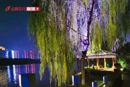 夜深映微凉什么意思