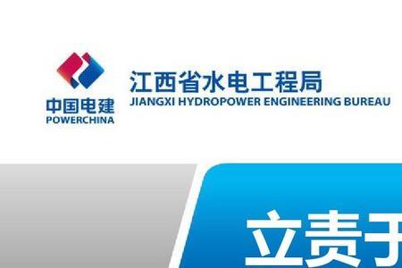 责任主体什么意思