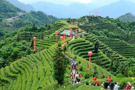 茶山公园哪个景点最好玩