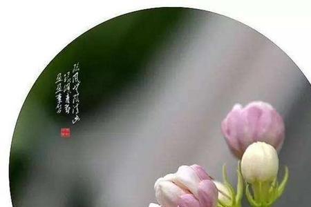 偷花不为贼的七律