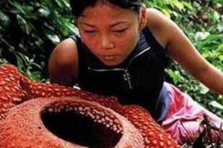 触目人心的意思