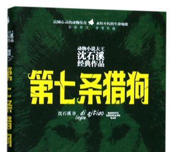沈石扮演者