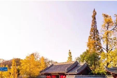 2022衢州孔庙开放时间最新通知