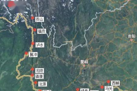 新疆回四川有多少人
