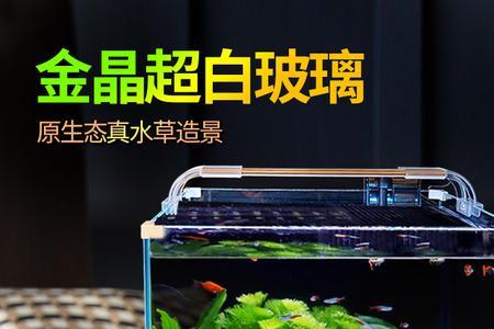 60鱼缸养多少小型热带鱼