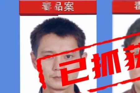 没有犯罪为什么会被网上通缉