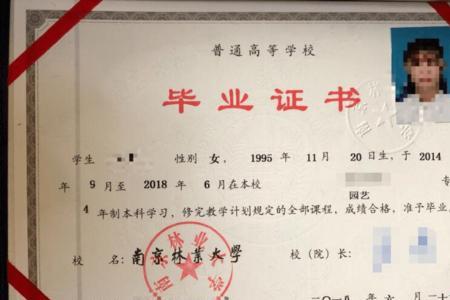 南京林业大学报考点要求