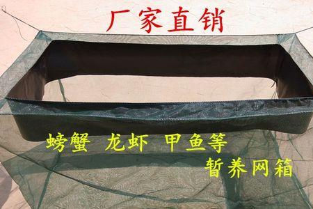 十加目组成什么字