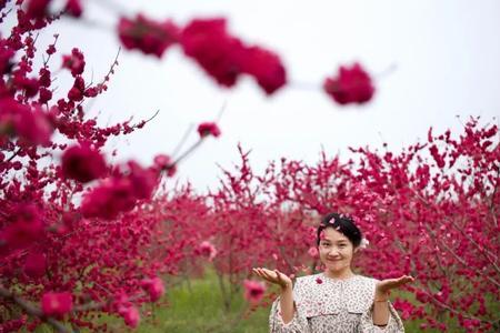 林花是什么花