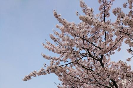 万宝至马达大连有限公司怎么样