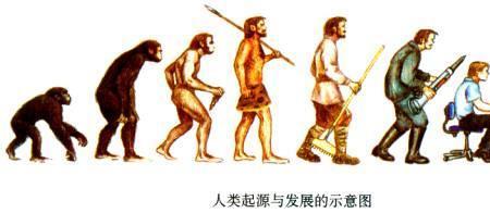 人类属于生物吗